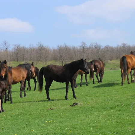 Hotel Lilia 2 Family Primorsko