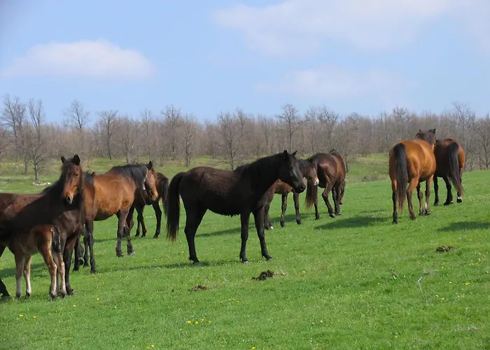 Ξενοδοχείο Lilia 2 Family Πριμόρσκο